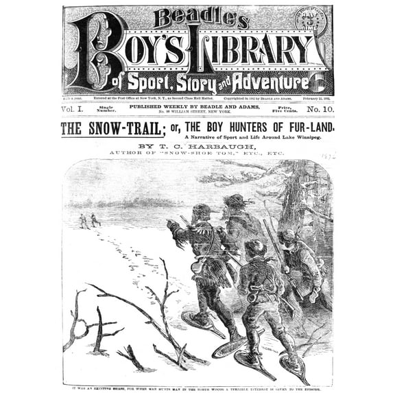 Dime Novel 1882. N'The Snow-Trail Or The Boy Hunters Of Fur-Land.' Cover Of A Beadle And Adams Dime Novel Of 1882.