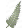 thumbnail image 1 of Dimensional Die - Fern Left, 1 of 2