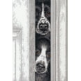 thumbnail image 1 of Dimensions® Peeking Pups Counted Cross-Stitch Kit, 1 of 6