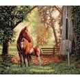 thumbnail image 1 of Dimensions Gold Collection "Mare and Foal" Counted Cross Stitch Kit, 14" x 12", 1 of 2