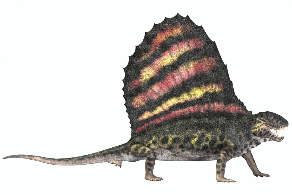 Dimetrodon reptile from the Permian period Canvas Art - Corey FordStocktrek Images (18 x 12)