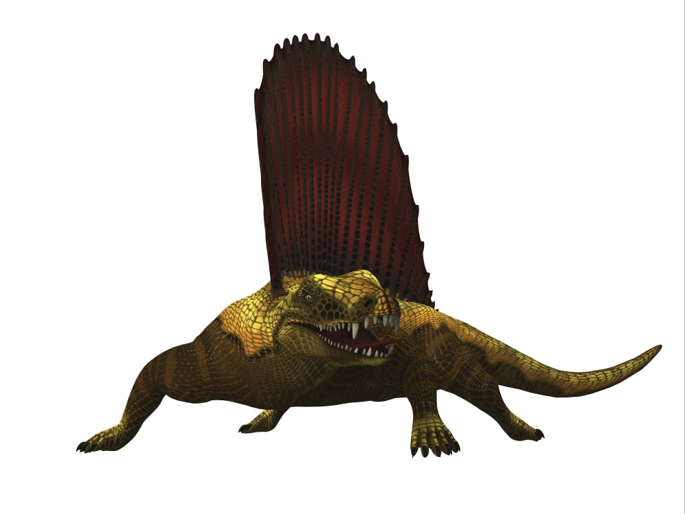 Dimetrodon reptile front view Canvas Art - Corey FordStocktrek Images (32 x 24)