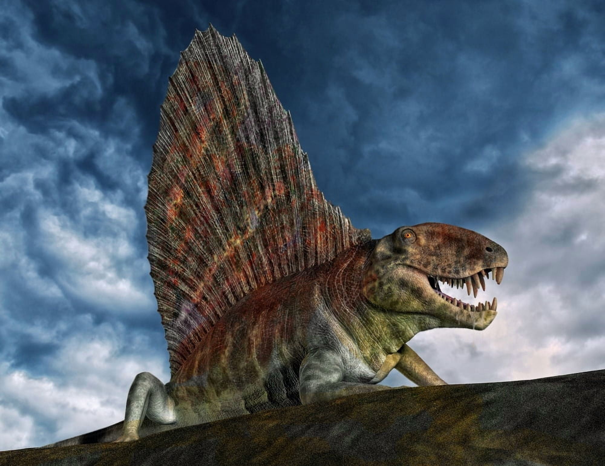 Dimetrodon was an extinct genus of synapsid from th Early Permian period Canvas Art - Philip BrownlowStocktrek Images (33 x 25)