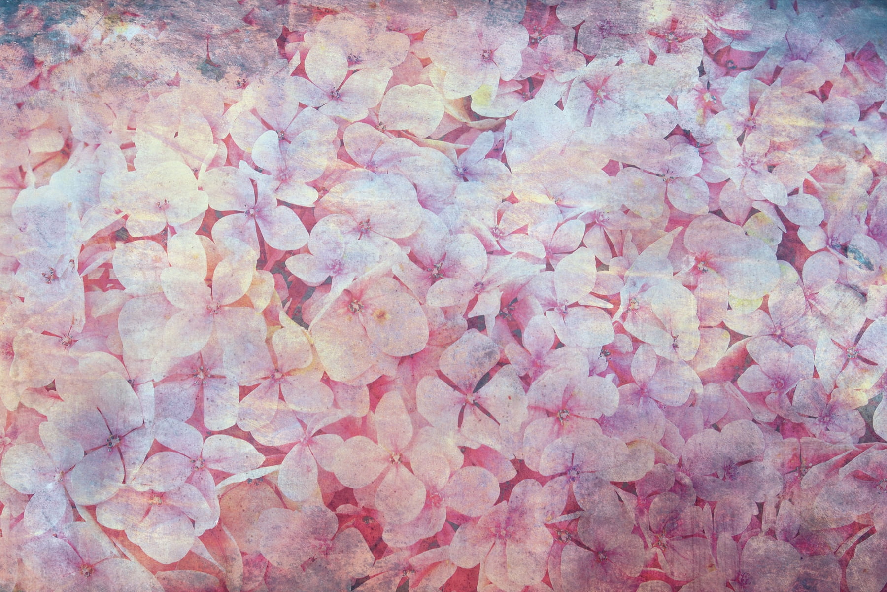 Dimex Abstract Blooms Wall Mural