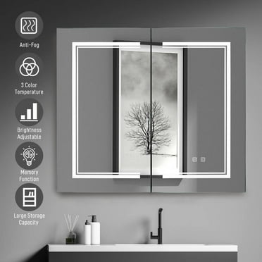 Dimmable LED Lighted Medicine Cabinet with Mirror Wall-mounted Bathroom Cabinet