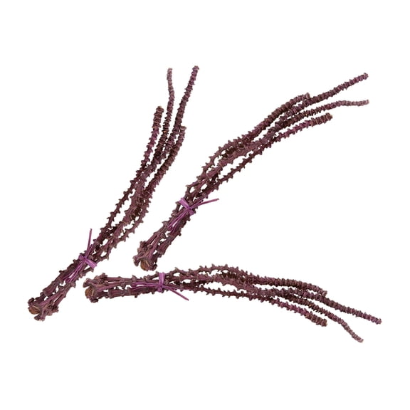 Dimond 742018/S3 Oxblood Banana Stem Bunch - Set of 3
