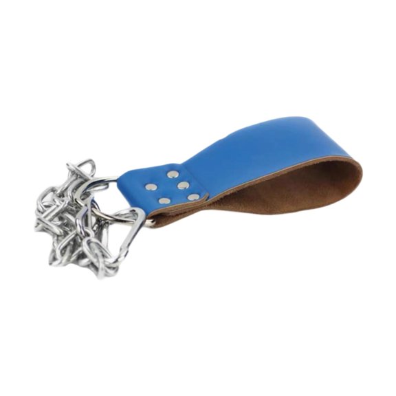 DimyFew Dumbbell Loading Strap Accessories with Chain LAT Pull Down Attachment PU Weight Blue