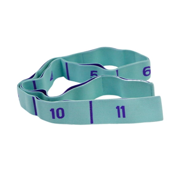 DimyFew Resistance Band Exercise Band Portable 11 Segment for Fitness Gym Stretching Blue