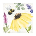 thumbnail image 1 of Dina June 'Bee Harmony III' Canvas Art, 1 of 3