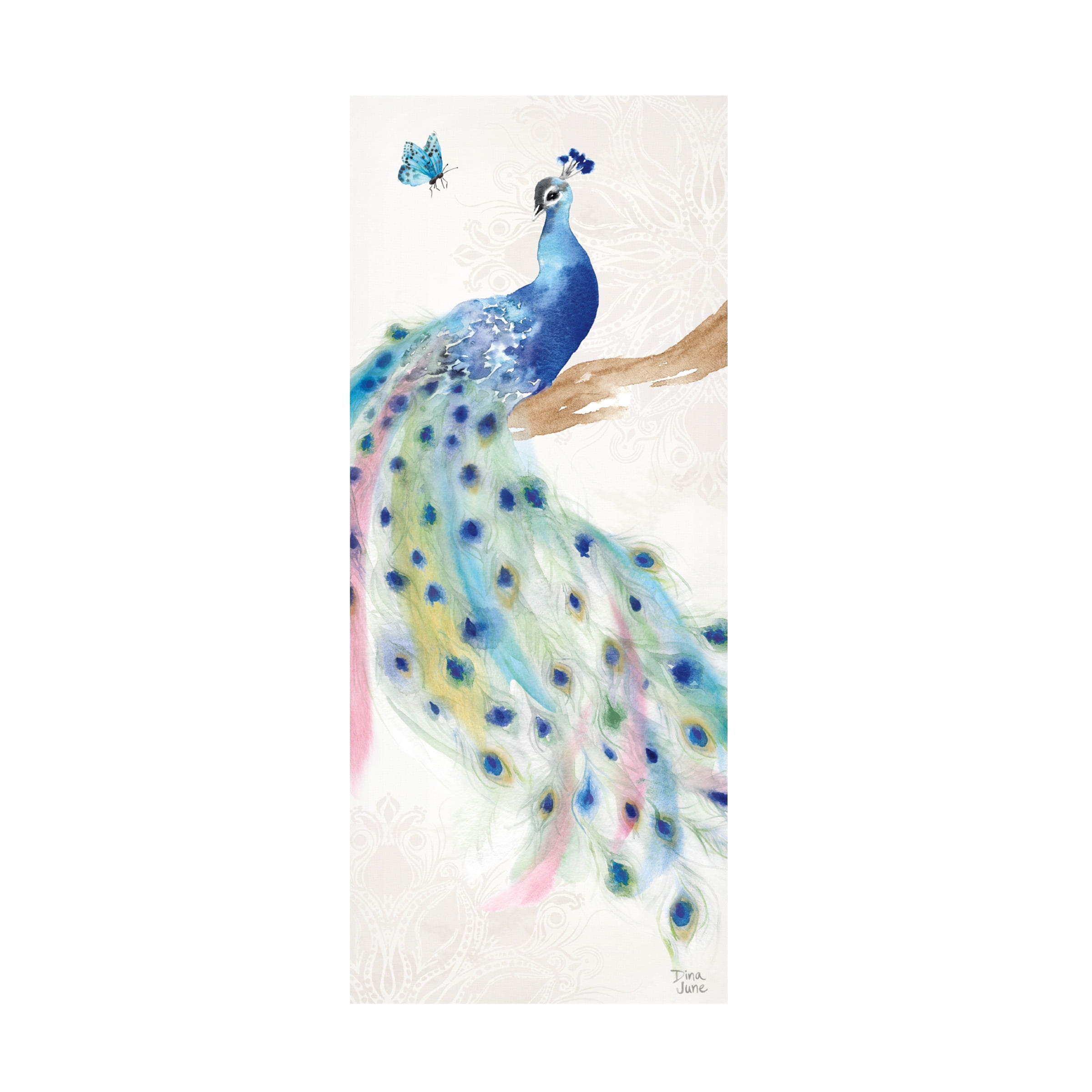 Dina June 'Peacock Glory II' Canvas Art