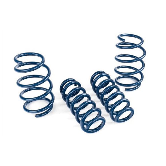 Dinan D100-0938 Performance Coil Spring Set