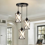 DingLiLighting 3-Light Industrial Kitchen Island Pendant Light, Black Metal Cage Hanging Chandelier Lights with Glass Shade