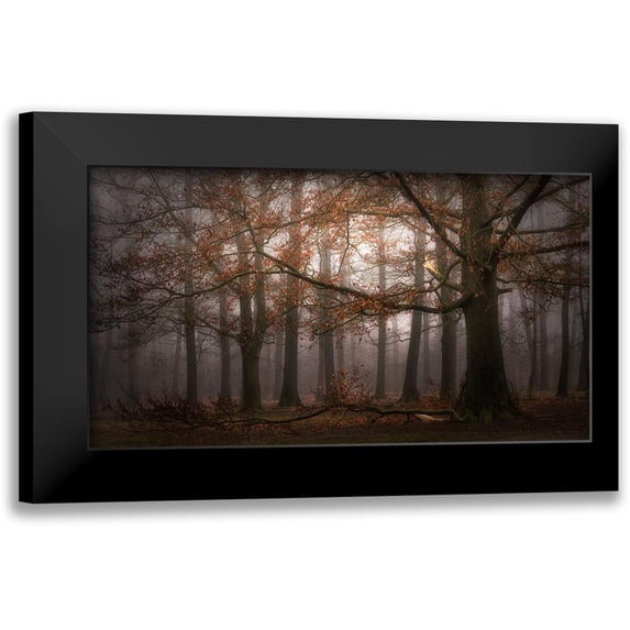 Dingemans, Saskia 18x12 Black Modern Framed Museum Art Print Titled - Foggy Memory Of The Past
