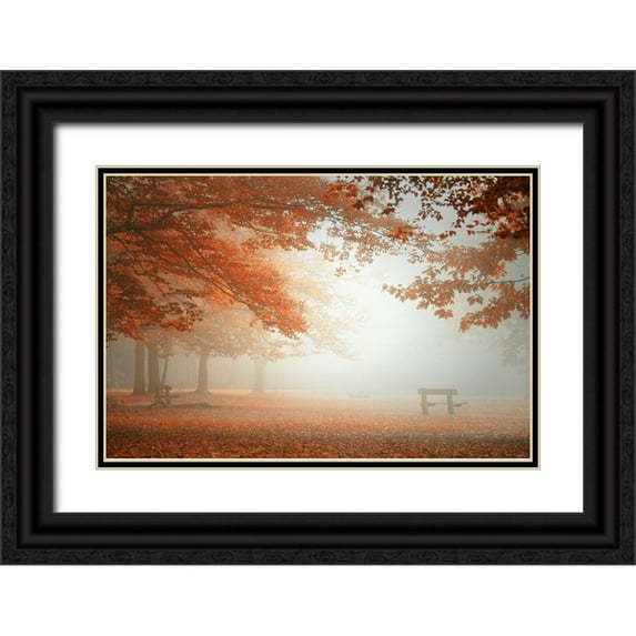 Dingemans, Saskia 32x23 Black Ornate Wood Framed with Double Matting Museum Art Print Titled - The Wonders Of Nature
