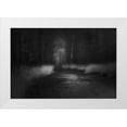 thumbnail image 1 of Dingemans, Saskia 32x23 White Modern Wood Framed Museum Art Print Titled - Shades In Black, 1 of 4