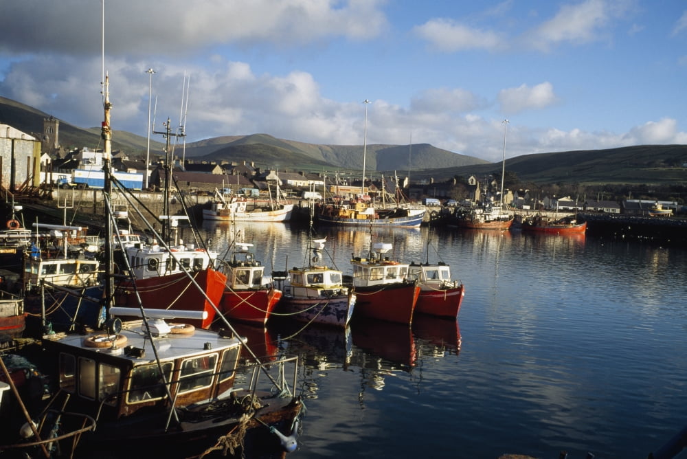 Dingle Co Kerry Ireland Boats In A Port Canvas Art - The Irish Image Collection Design Pics (36 x 24)
