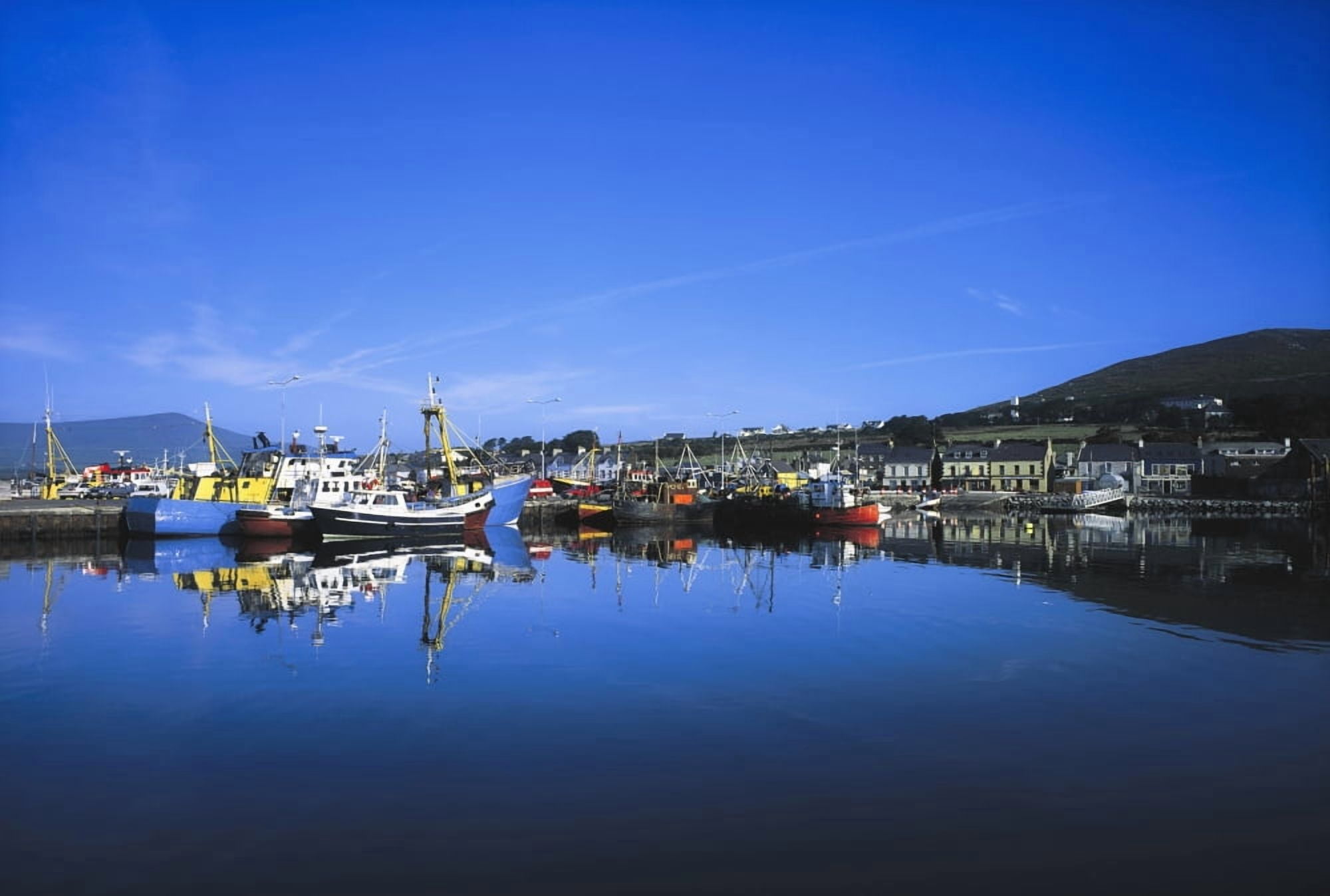 Dingle Harbour Dingle Co Kerry Ireland Canvas Art - The Irish Image Collection Design Pics (36 x 24)