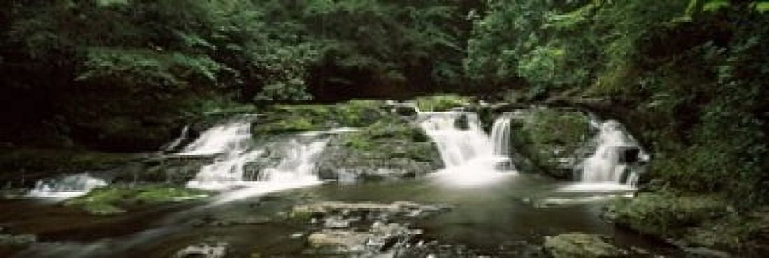 Dingmans Creek flowing through a forest Dingmans Falls Area Delaware Water Gap National Recreation Area Pennsylvania USA Canvas Art - Panoramic Images (18 x 6)