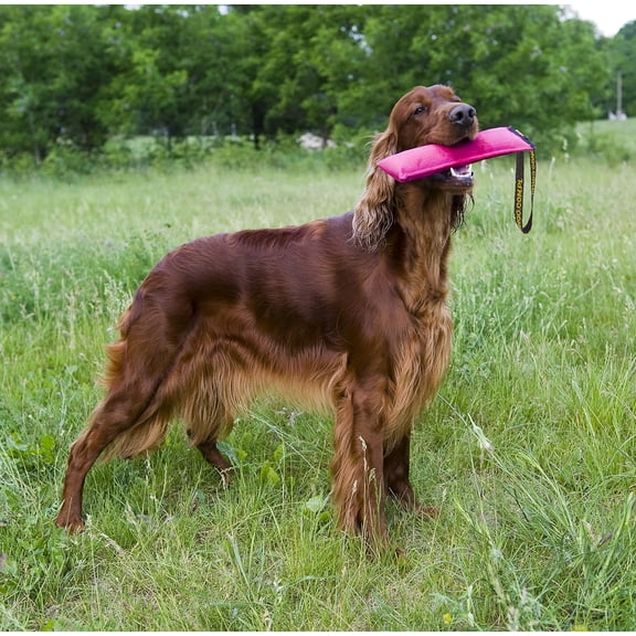 Dingo Cotton tug Toy with Handle, for Catch Retrieving and tug of war, Dog bite Pillow Floating on The Water, Four Colours, L Z30002
