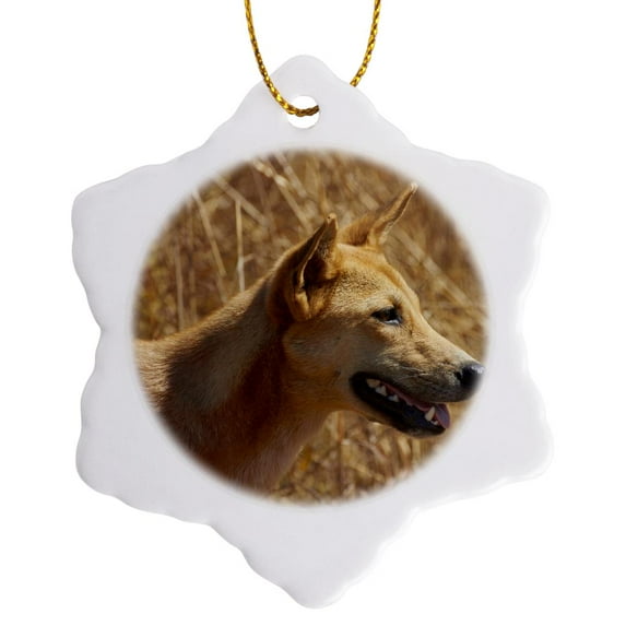 3drose, Dingo Wildlife, Kakadu Np, Northern Territory, Australia-au01 Dwa4451 - David Wall, 3 inch Snowflake Porcelain Ornament