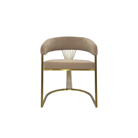 Dining Chair with Light Gray Velvet Cushion and Matte Silver Legs