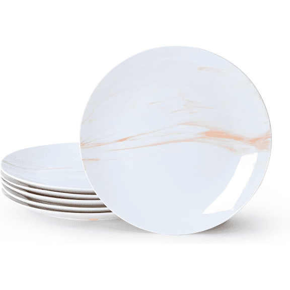 Dinner Plates 10.5 Inch Set of 6