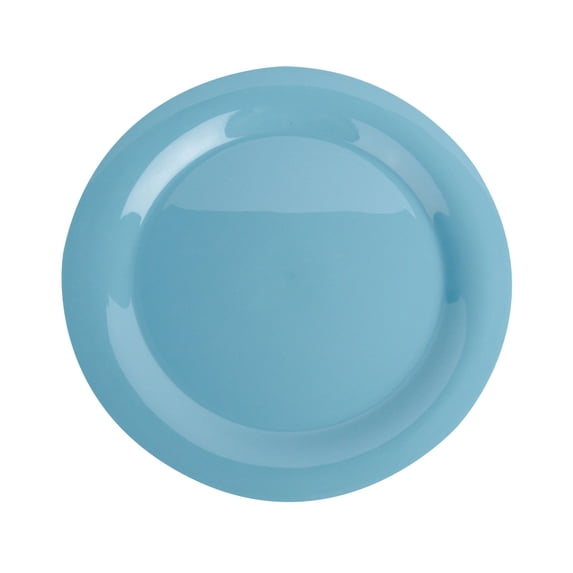 Dinner Plates, 10 inch Round PP Plastic Plates,Heavy Duty unbreakable Flat Bottom Cool Dinnerware Dishes, Dishwasher Safe, Suitable for Home,Lunch, Party, Wedding, Restaurant Use,C
