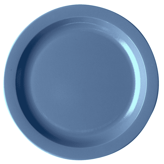Dinnerware Plate Narrow Rim 10" Slate Blue