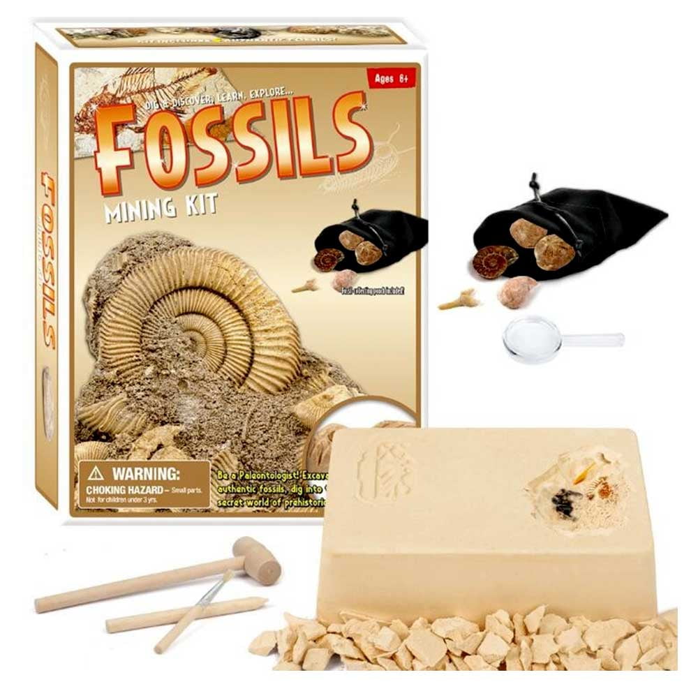 Dino Fossil Dig Kit for Kids 4 12 Discover Learn with Interactive Guide Realistic Bones Excavation Tools Paleontology Science Prehistoric Dinosaurs Archaeology Adventure STEM Educational Toy Ages 4 8 ...