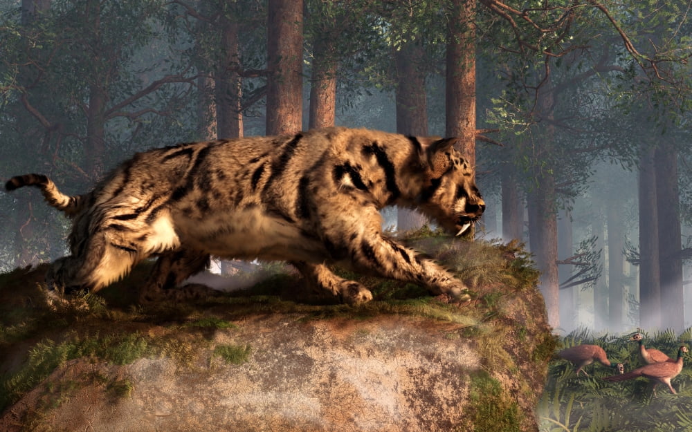 Dinofelis a prehistoric cat gets ready to attack a group of pheasants Canvas Art - Daniel EskridgeStocktrek Images (36 x 23)