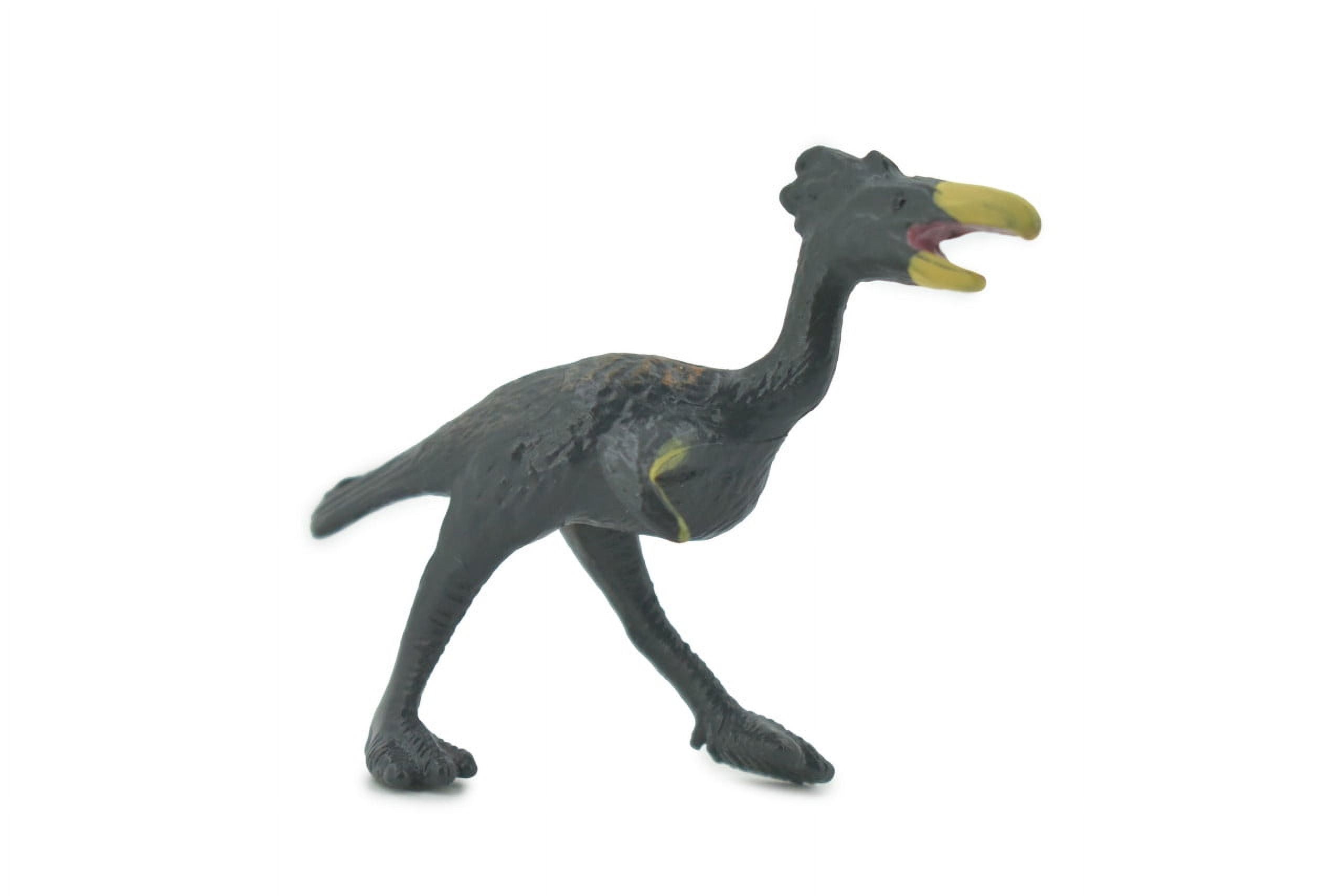 Dinornithidae, Extinct bird, Greater Moa, Prehistoric, High