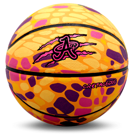 Dinosaur Basketball, Official Women's High Bounce Street Indoor/Outdoor Basketball Adult/Full Size 6