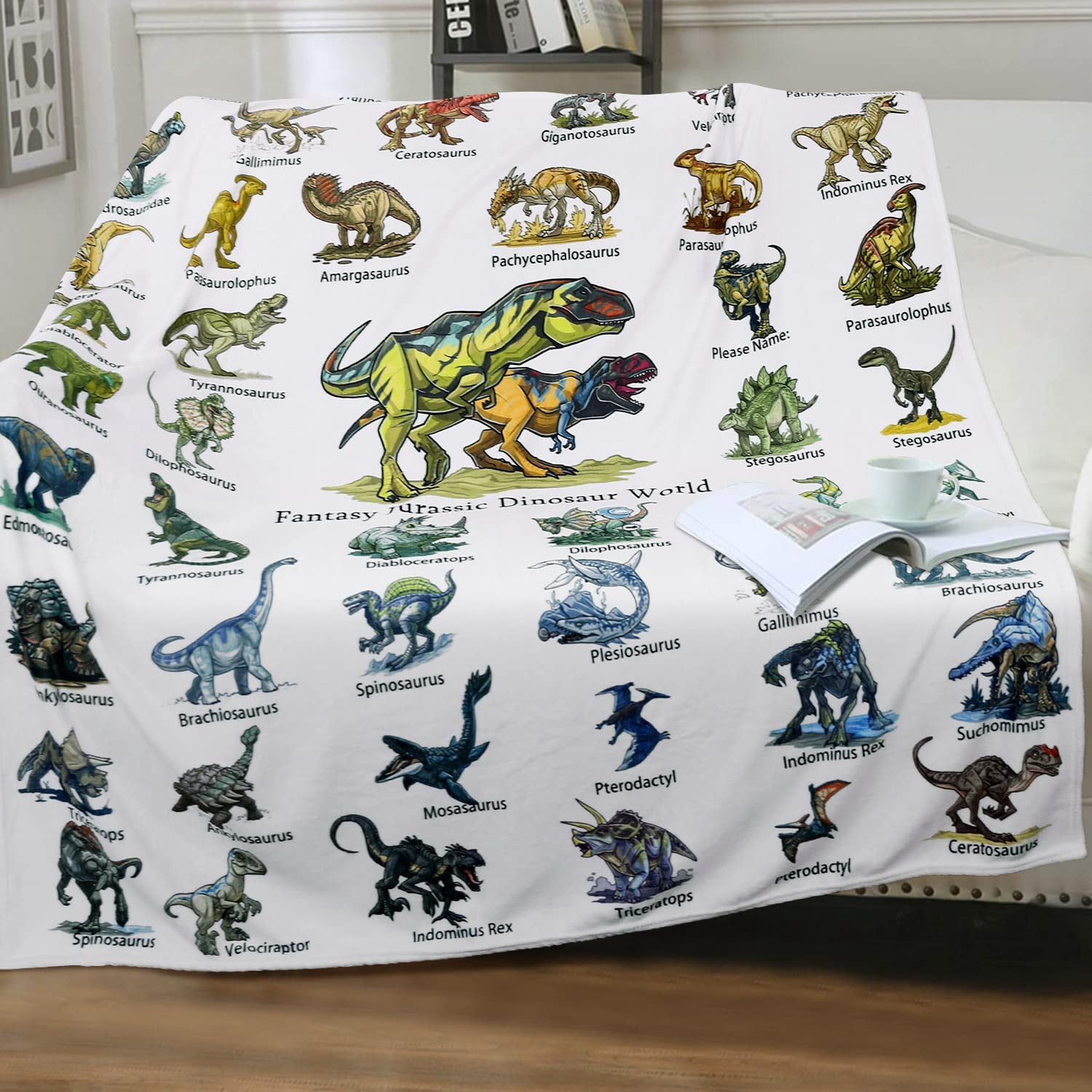 Dinosaur Blanket for Boys Teens - Jurassic Dino Park World Kids Sofa Bed Blanket - Soft Cozy Flannel Throw Blanket Funny Dinosaur Gifts for Jurrassic Dinosaur Fans 50 x 60 Inch