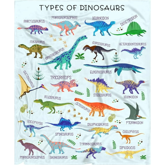 Dinosaur Blanket for Boys Types of Dinosaurs Birthday Party Decorations Gifts for Kids Toddler Girls Plush Soft Flannel Cute Animal Educational Throw Sheet Decor for Room Couch Bed Nursery