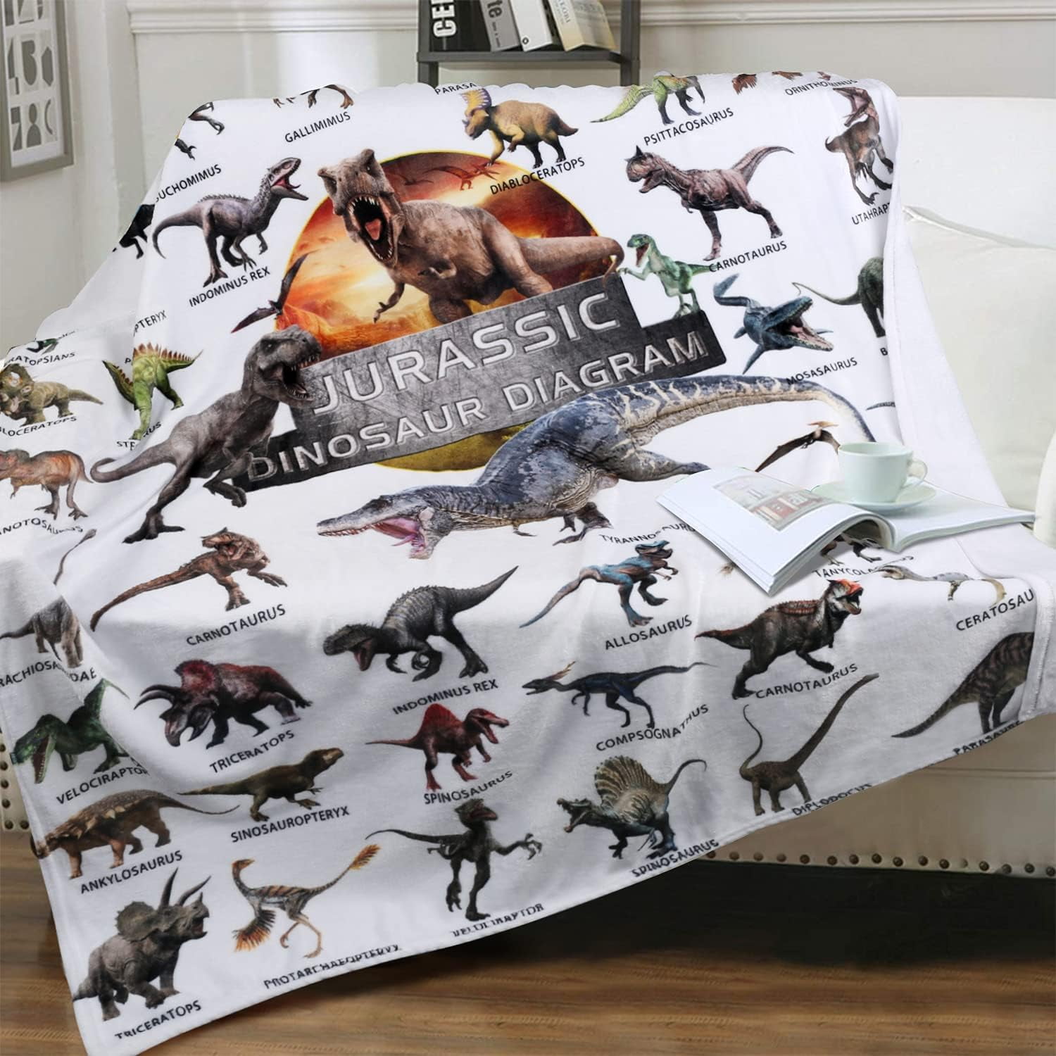 Dinosaur Blanket for Boys Teens - Jurassic Dino Kids Sofa Bed Plush Blanket, Soft Flannel Throw Dinosaur Room Decor Toys Gifts 50x60 Inches