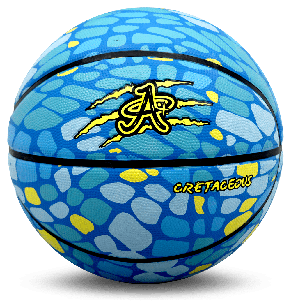 Balon de Basket Wilson NBA Authentic Indoor/outdoor NO.7 