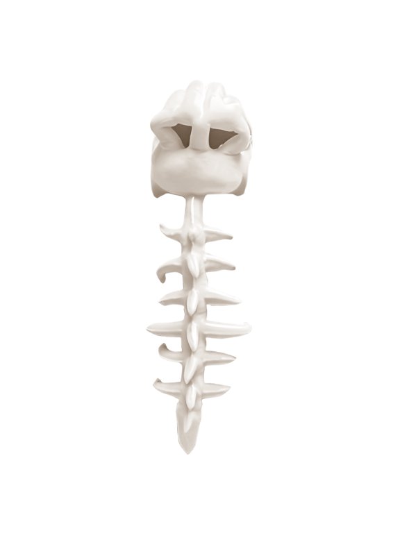 Dinosaur Costume, Dinosaur Costume Kids Plush T-Rex Skeleton Headgear With Segmented Spine Tail, Halloween Wearable Dino Dress-Up Prop For School Parades And Trick-Or-Treat