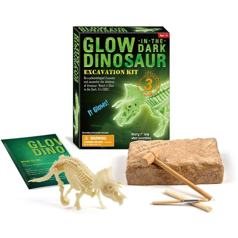 Dinosaur excavation cheap toy