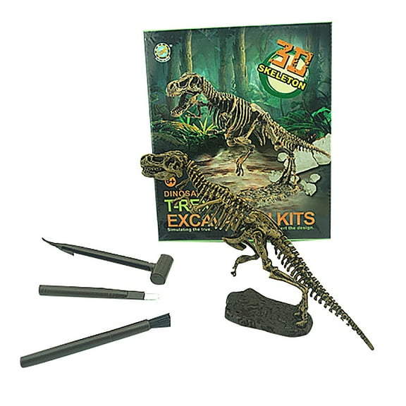 Dinosaur Excavation Dig Kit Simulation Fossil Skeleton Model with Archaelogical Tools for Backyard Sandbox Activities and Reusable Science Fun