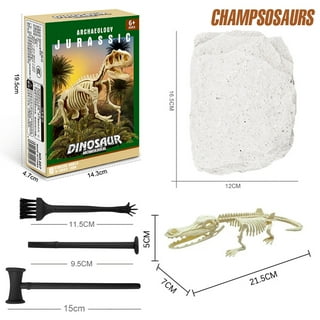 Jump of Dinosaurs  Archaeology Learning Game