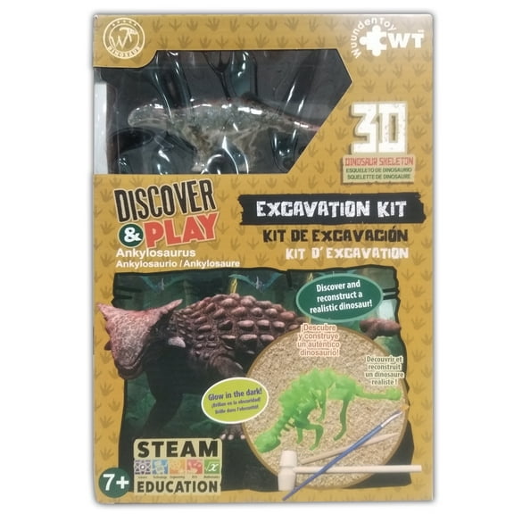 Dinosaur Excavation Kit Stem Fossil "Ankylosaurus" by Wuundentoy
