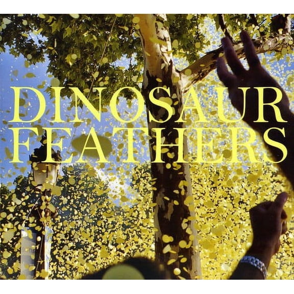 Dinosaur Feathers - Whistle Tips - Alternative - CD
