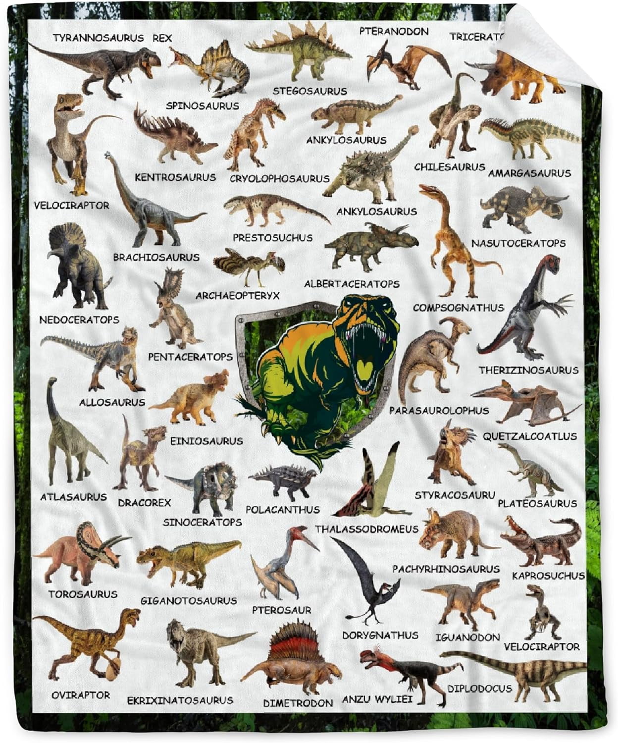 Dinosaur Flannel Blanket for Boy Girl Dino Unique Gift Dino Room Decor Throw Blanket for Teen Kid for Couch Bed,Educational Blanket for Kid,Jurassic Dinosaur Lover Fan Gift 50''''x 60'''' for Teen