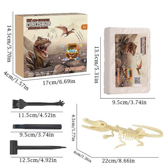 Dinosaur Fossil Dig Kit, Dino Skeleton Excavation Science Set, Perfect Gift for Holiday Occasions (D)