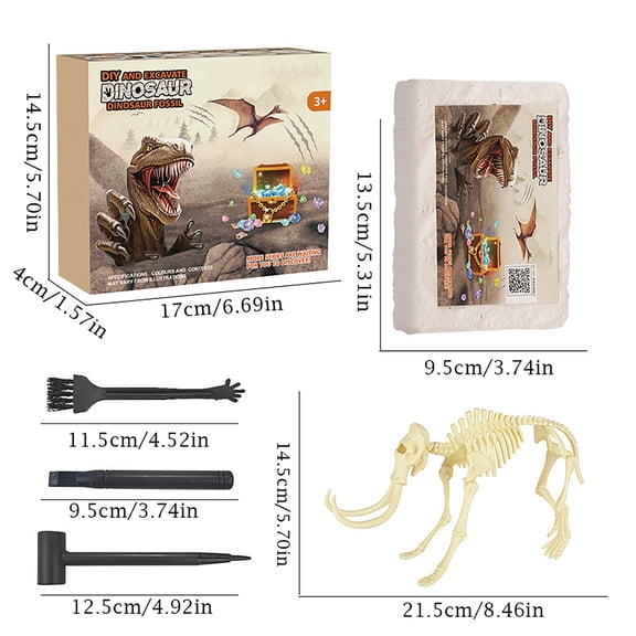 Dinosaur Fossil Dig Kit, Dino Skeleton Excavation Science Set, Perfect Gift for Holiday Occasions (G)