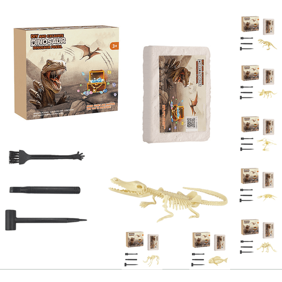 Dinosaur Fossil Dig Kit, Dinosaur Excavation Activity Set, Educational Gift for Science Lovers (D)