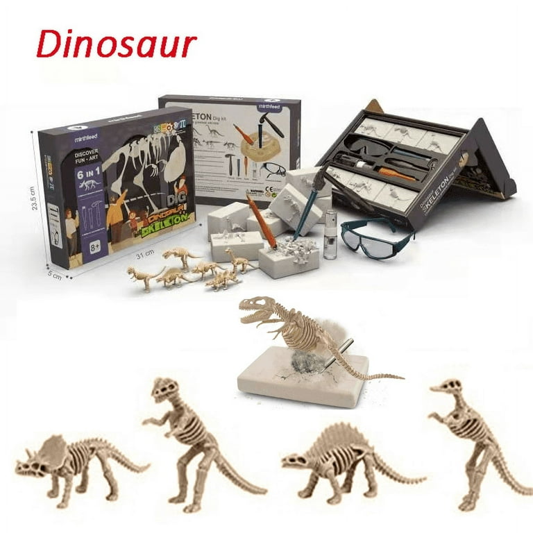 Dino Dive Fishing Game, Fun Prehistoric Dinosaur Toy Activity for Family  Game Night, for Young Kids Ages 4 and up 