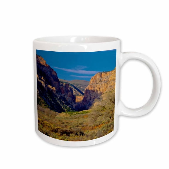 3drose, Dinosaur National Monument, Utah - Canyon Landscape., 11oz Mug