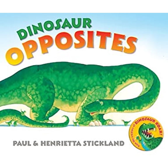 Pre-Owned Dinosaur Opposites (Board Book) 9781402764813