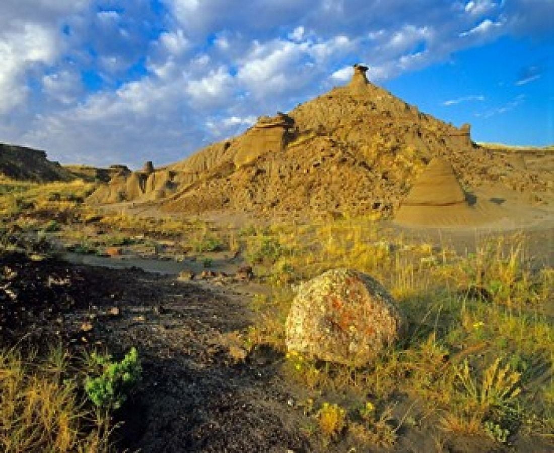 Dinosaur Provincial Park in Alberta Canada Canvas Art - Chuck Haney DanitaDelimont (27 x 23)